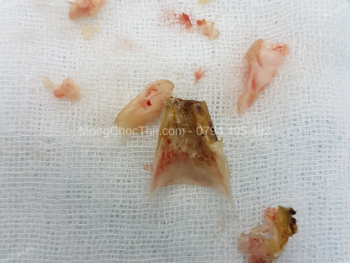 vệ sinh b&agrave;n ch&acirc;n